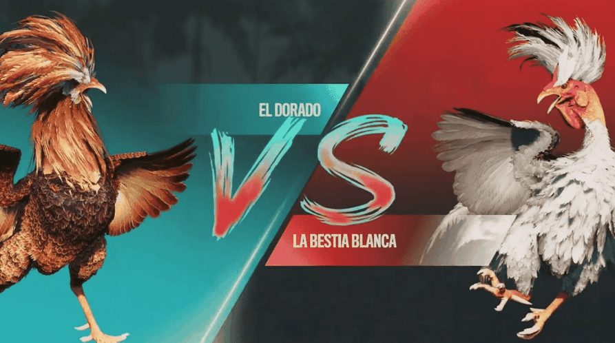 5536 Cassino Oficial Plataforma